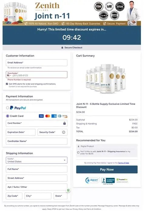 Joint N-11 official secure checkout